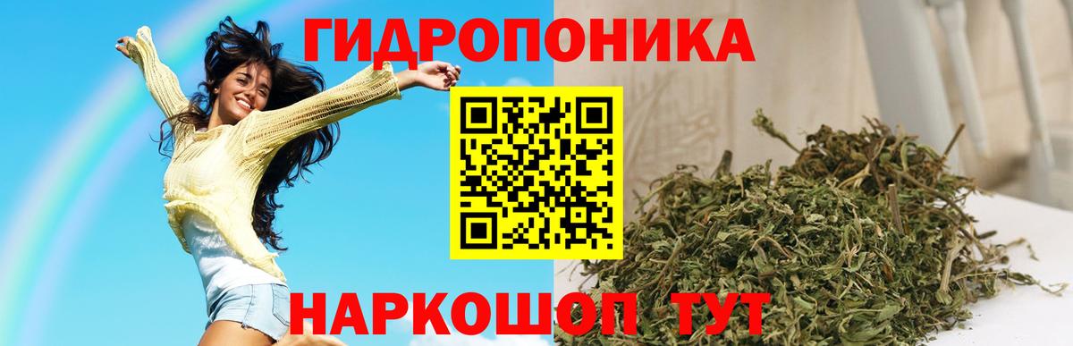 Бошки марихуана конопля Фролово